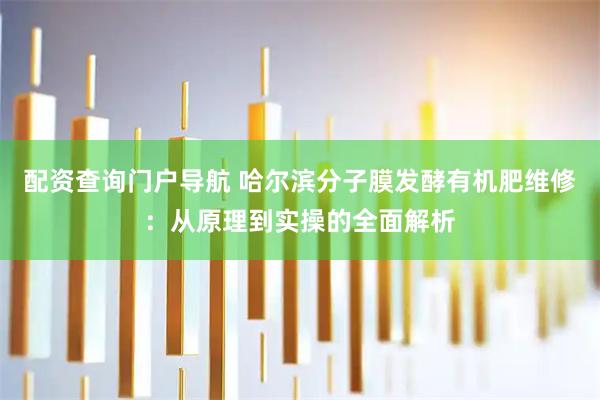 配资查询门户导航 哈尔滨分子膜发酵有机肥维修:从原理到实操的全面解析