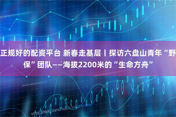 正规好的配资平台 新春走基层丨探访六盘山青年“野保”团队——海拔2200米的“生命方舟”